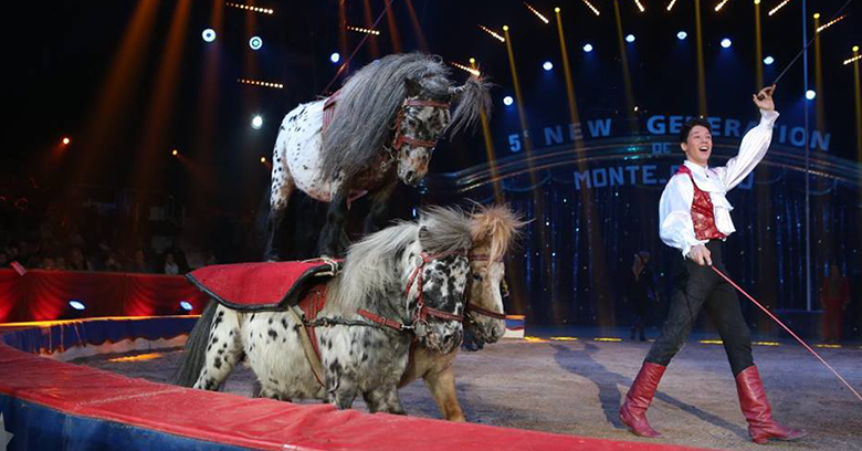Programm5-pony